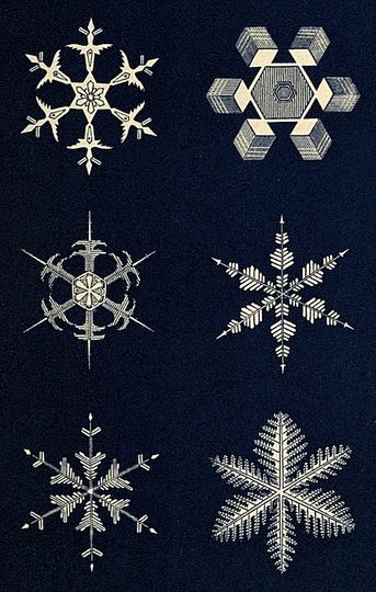Infographics History: Drawing Knowledge: 