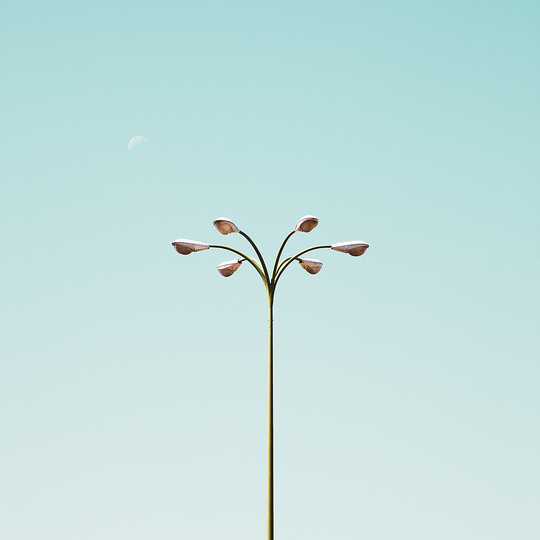 Reflections: 