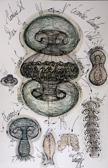 Morphodynamics - Principle of Nature: 