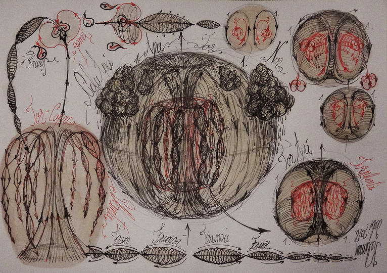 Morphodynamics - Principle of Nature: 