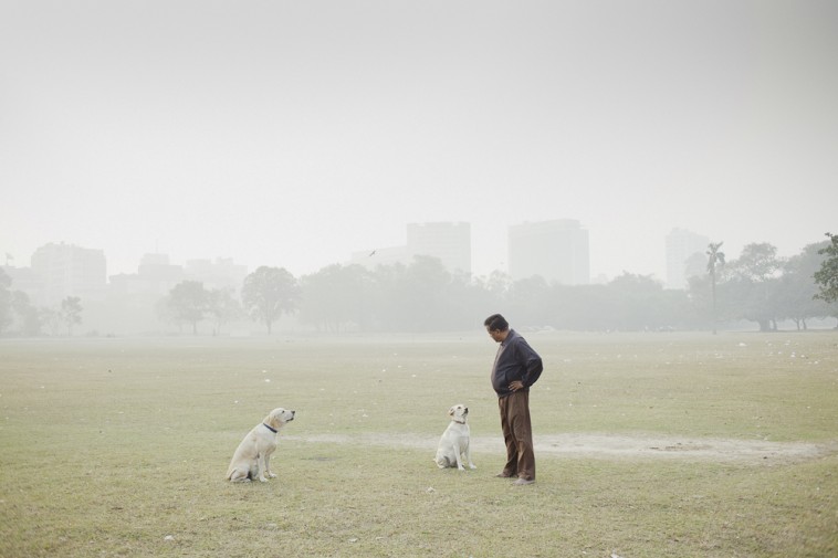 Sarker Protick: Bangladesh: 