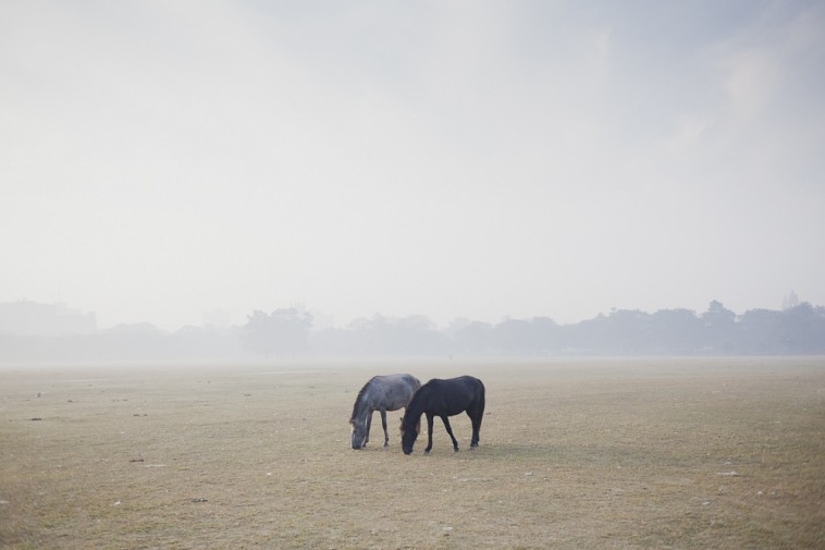 Sarker Protick: Bangladesh: 