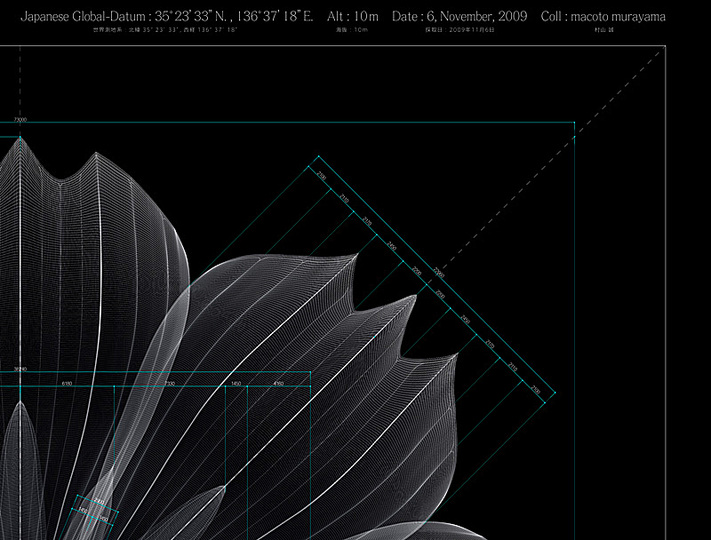 Macoto Murayama: The science of flowers: 