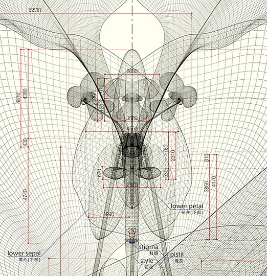 Macoto Murayama: The science of flowers: 