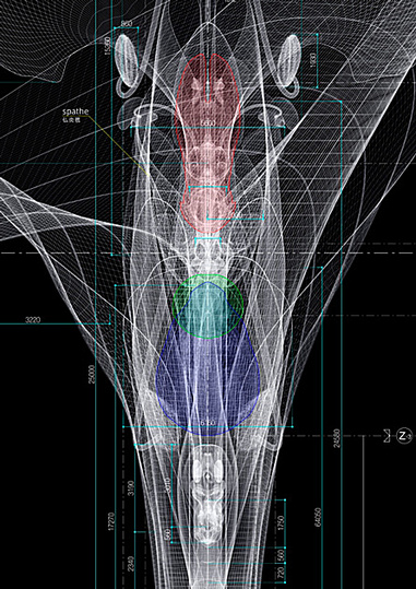 Macoto Murayama: The science of flowers: 