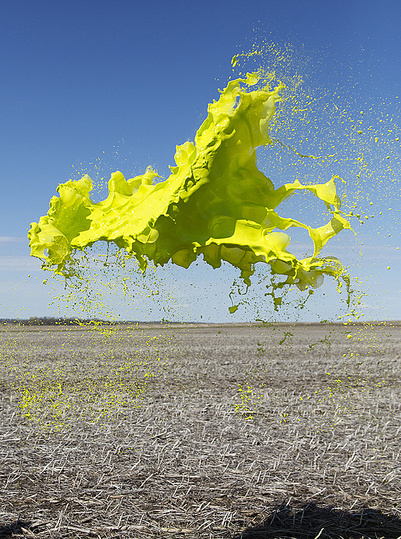 Floto + Warner: 