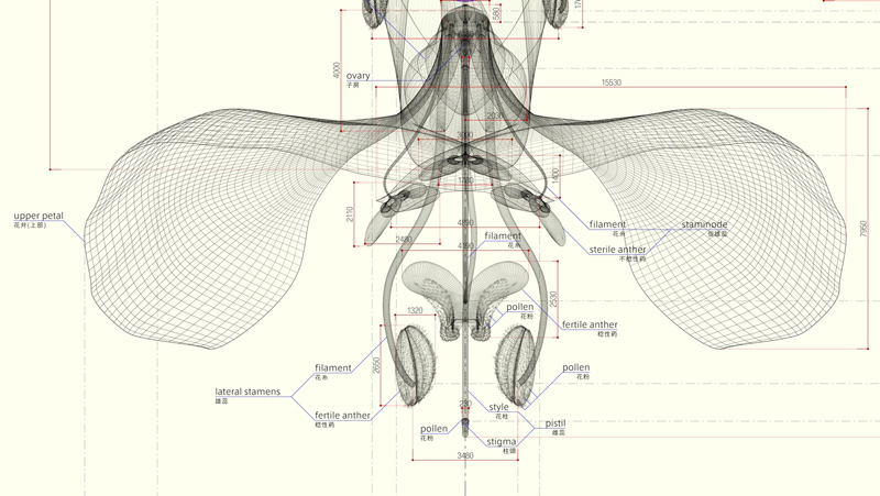 Macoto Murayama: The science of flowers: 