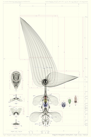 Macoto Murayama: The science of flowers: 