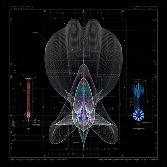 Macoto Murayama: The science of flowers: 