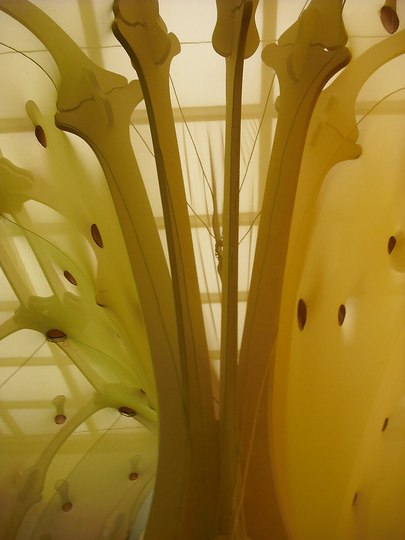 Ernesto Neto: Place of sensations: 