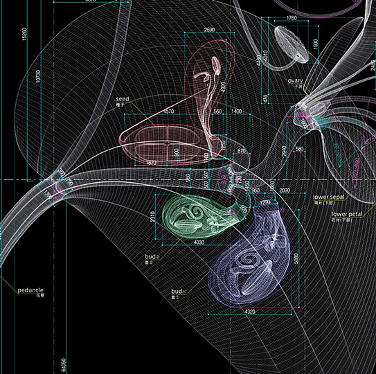 Macoto Murayama: The science of flowers: 