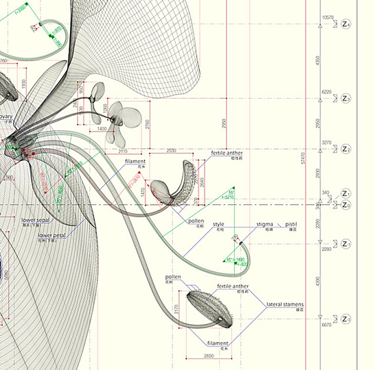 Macoto Murayama: The science of flowers: 