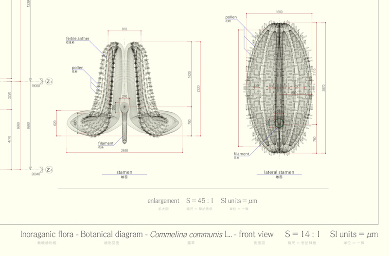 Macoto Murayama: The science of flowers: 