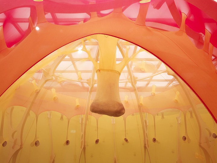 Ernesto Neto: Place of sensations: 