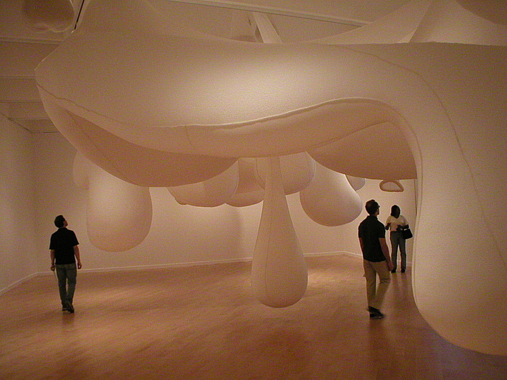 Ernesto Neto: Place of sensations: 