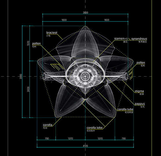 Macoto Murayama: The science of flowers: 