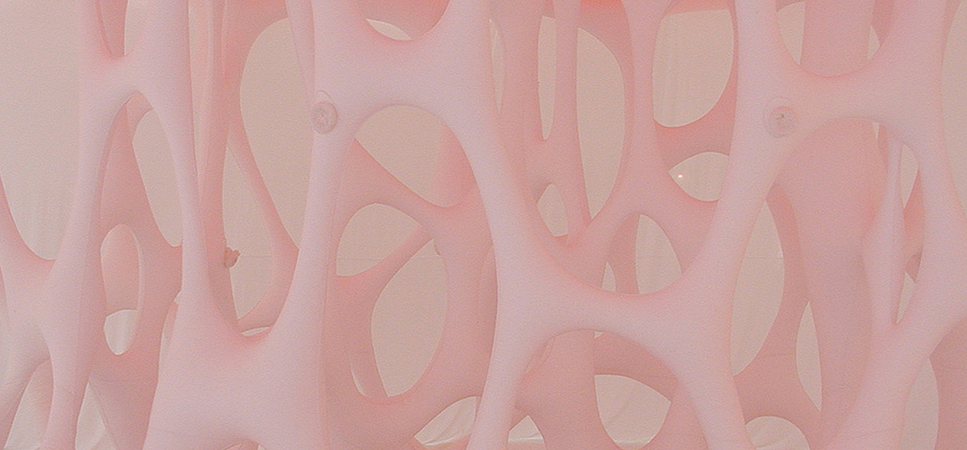 Ernesto Neto: Place of sensations: 