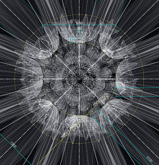 Macoto Murayama: The science of flowers: 