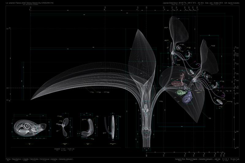 Macoto Murayama: The science of flowers: 