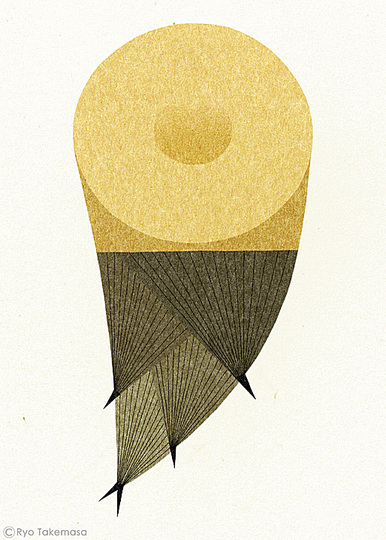 Ryo Takemasa: 