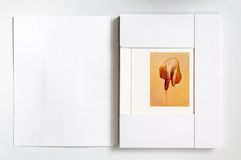 Book : Cattelan: 