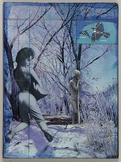 Collages and boxes: Joseph Cornell: 