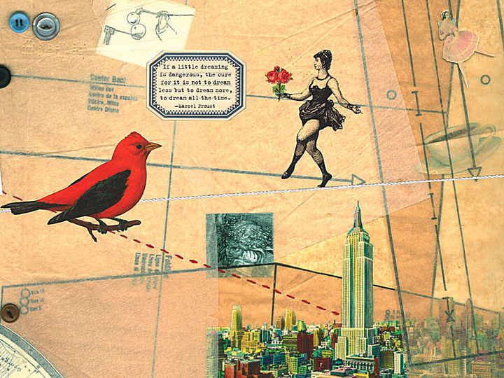 Collages and boxes: Joseph Cornell: 