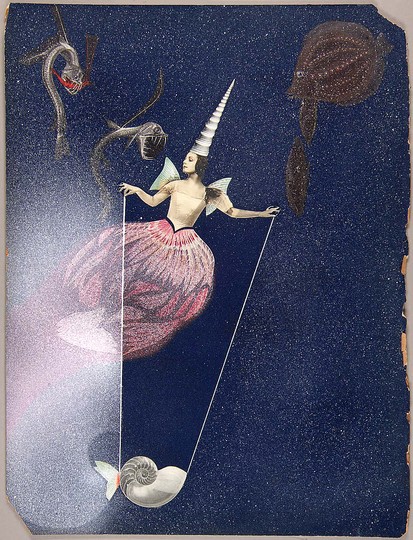 Collages and boxes: Joseph Cornell: 