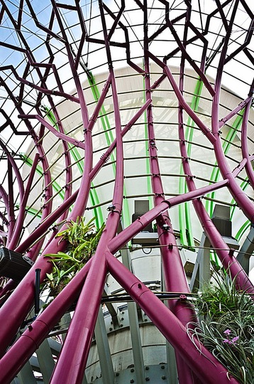 Design Gardens - Garden Design