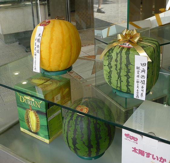 A day in Tokyo: the famous square melon