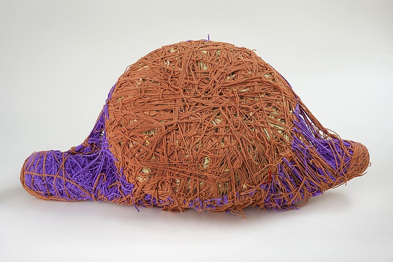 An Entangled World: The Art of Judith Scott: 