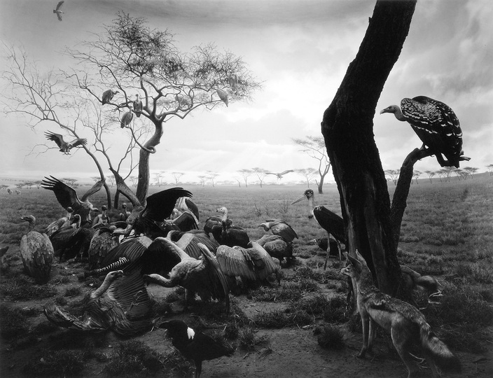 Hiroshi Sugimoto