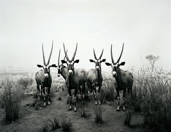 Hiroshi Sugimoto