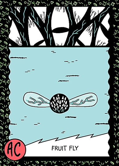 Cave Adventures by Michael DeForge: 