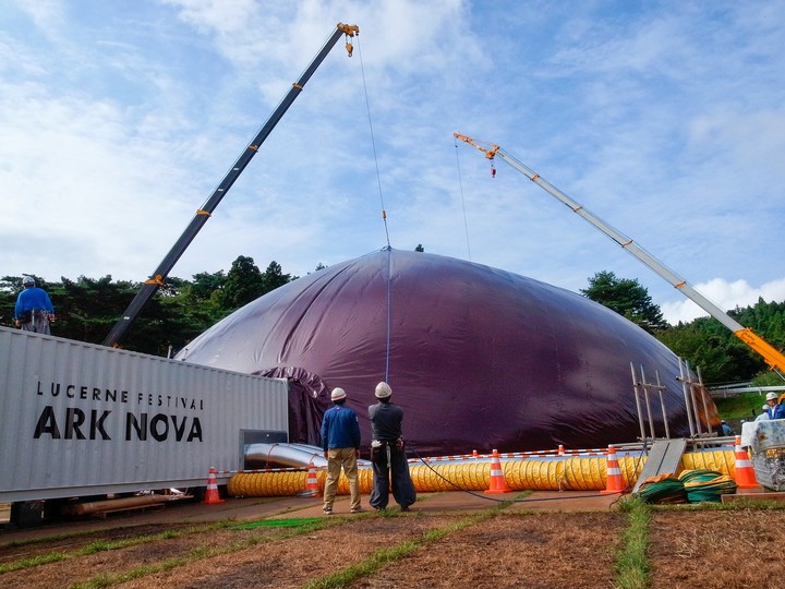 Ark Nova in Matshushima: 