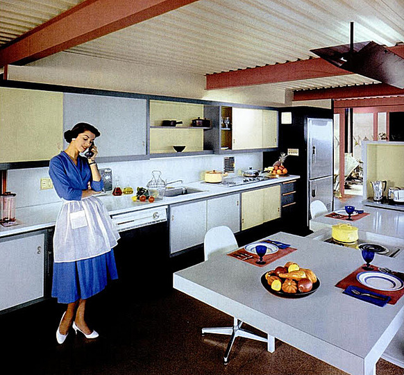 Bring the outside in: The houses of Joseph Eichler: 