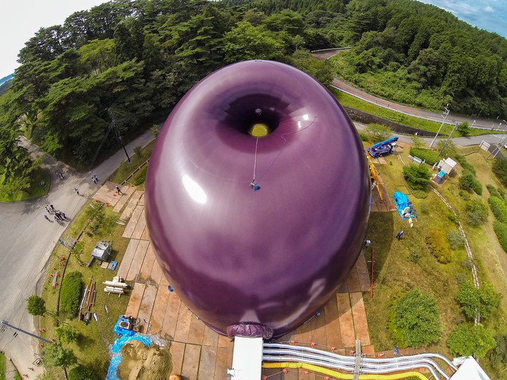 Ark Nova in Matshushima: 