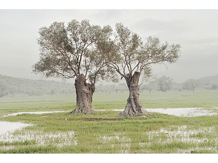 Greek Landscapes by Petros Koublis: 