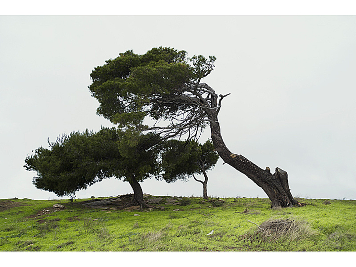 Greek Landscapes by Petros Koublis: 