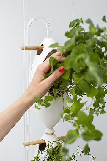 Re watering: Re Watering is a simple system to grow plants indoor. It is an artwork consisting of three ovules and a column made of ceramic as well as an ingenious system to continuously recycle water in order to irrigate a small vegetable garden. Most part of the pieces is handmade and self-produced. Re-Watering is a system to grow your own small kitchen garden. Mint, lettuce, basil, strawberries as well as ornamental plants will grow in your house or in your working space. It will take up little space and allow you to have fresh vegetables and aromatic or ornamental plants all year long!

Re-watering is a closed system, thus does not pollute the environment. It reduce the use of pesticide against parasites (which usually live in the soil) and avoid the use of weedkiller. It also contribute to purify your air. During the photosynthesis process, plants emit oxygen and absorb carbon dioxide. In addition many plants are able to remove pollutants present in every house: formaldehyde, ammonia and benzene, coming from paints, detergents, smoke and computer monitors. Plants can purify the air and increase your well being and attention. It will be also increased by the white noise of water. Hearing the soft swish of water can contribute to create a relaxing mood and to increase concentration during studying and working activities.
