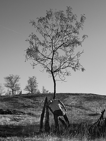 Tree people: 