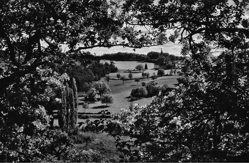 Paris Photo 2013: Pierre de Fenoÿl, Castelnau de Montmiral, France, 11 novembre 1984, 1984, tirage argentique sur papier baryté Courtesy Galerie Le Réverbère, Lyon, Exhibitor : Le Réverbère.