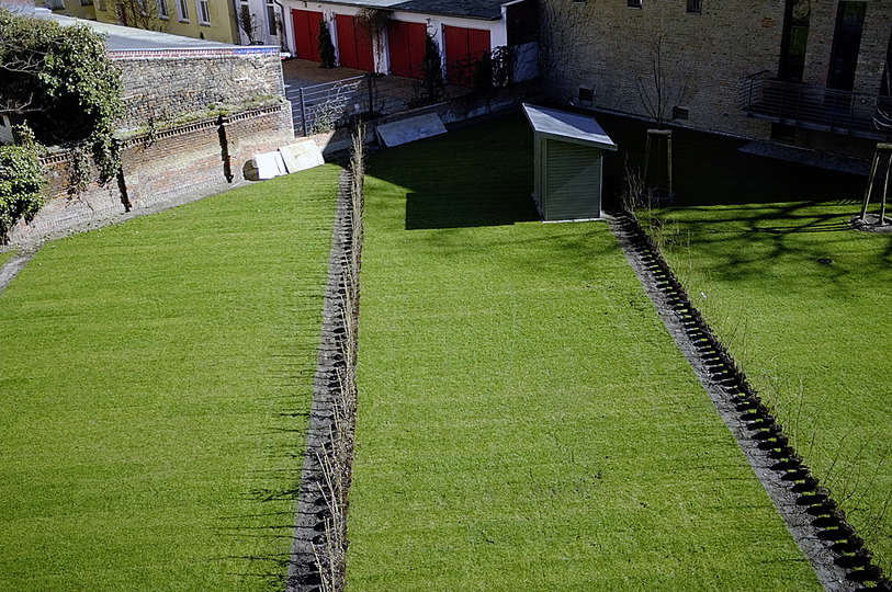 Neighborhood: COMMENDATION
Frauke Bergemann, Germany
Series 