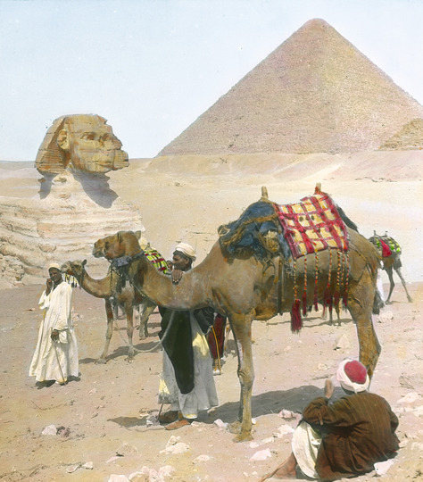 Postcards from Egypt 1912: Pyramid and Sphinx © Österreichisches Volkshochschularchiv.