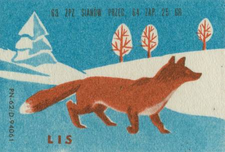 Flora & Fauna of Matchbox Design