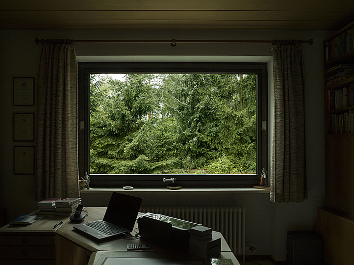 Neighborhood: HIGHLY RECOMMENDED
Ulrike Manestar, Germany
Series 