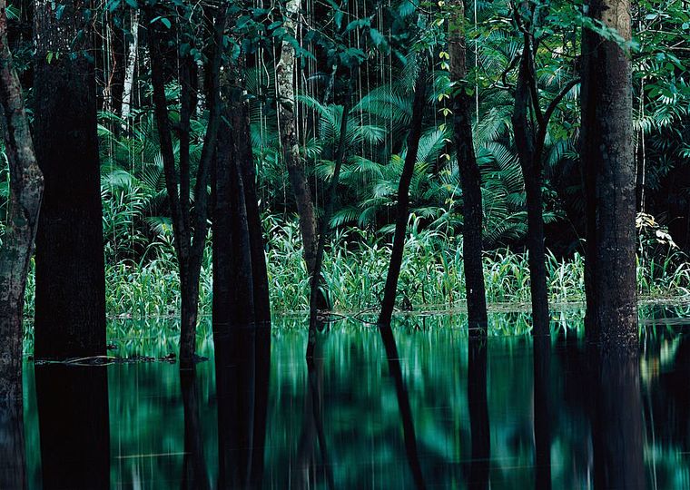 Landscape in my Mind: Axel Hütte, Rio Negro II, Brazil, 1998, C-Print, Diasec, 187 x 237 cm Edition: Exhibition Proof (4) Courtesy Galerie Nikolaus Ruzicska, Salzburg und Axel Hütte / Schirmer/Mosel, München © Axel Hütte Photo: © Axel Hütte