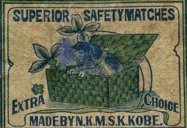 Flora & Fauna of Matchbox Design