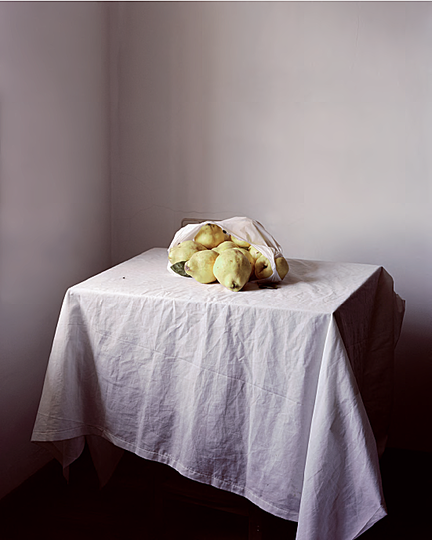 It´s Swab Barcelona: Jesus Madriñán “Serie la Finca” (Membrillos) 2011 Photography 100×70 cm. Galeria +R, Barcelona