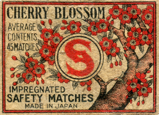 Flora & Fauna of Matchbox Design